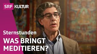 Richard Davidson & Theodore Zeldin über den Meditations-Boom | Sternstunde Philosophie | SRF Kultur