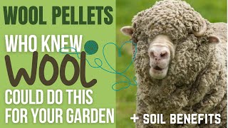 Wool Pellets: Who Knew Wool Could do THIS for Your Garden