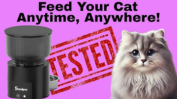 Sandpoy Automatic Cat Feeder Review: Smart Feeding for Your Pet