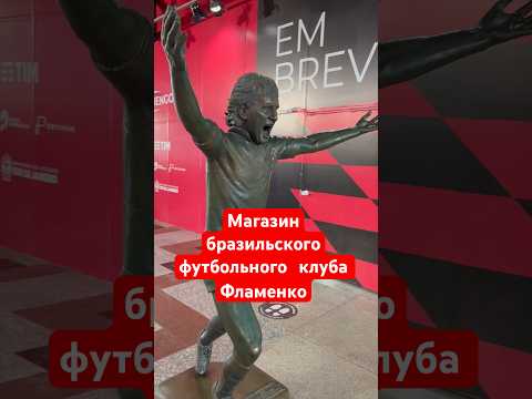 Видео: Музей-магазин бразильского футбольного клуба Flamengo #футбол #бразилия