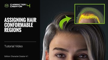 Character Creator 4 Tutorial - Assigning Hair Conformable Regions