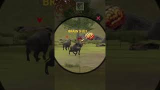 new game video viral #battleroyalegame #gaming #ajjubhaiandsooneeta