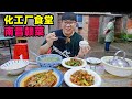 南昌化工食堂赣菜，女子天团厨艺高超，美味臭鳜鱼，重油酸辣鸭杂Gan cuisine in Nanchang, Jiangxi
