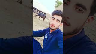 zameena tang lagiya pani te ghr bna la ge #c #supercomedy