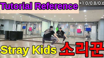 [Tutorial Reference]Stray Kids "소리꾼" COVER DANCE |  thunderous tutorial | ×1.0/0.8/0.6