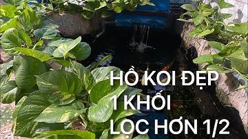 HỒ KOI 1 KHỐI LỌC QUÁ CHỜI || CÁ KOI VLOG TRẦN ĐỨC CƯỜNG