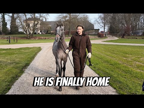 My First Foal I Bred Finally Comes Home thumbnail