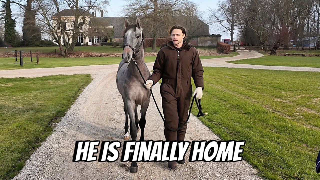 My First Foal I Bred Finally Comes Home