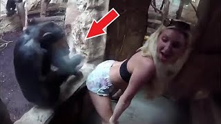 То, что сделала горилла с туристкой в зоопарке, потрясло весь мир!