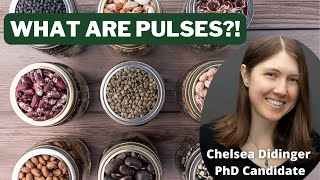 What Are Pulses?