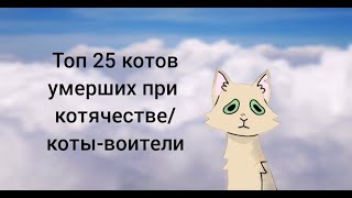 картинка: топ 25 котов умерших при котячестве / коты-воители