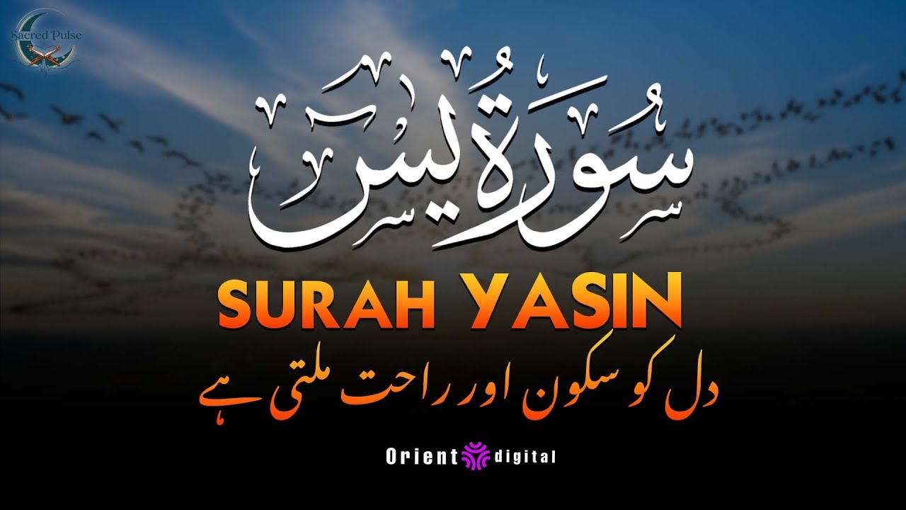 Surah Yaseen with Urdu & Hindi Translation | Beautiful Quran Tilawat by Sheikh Omar Qraitna | اردو