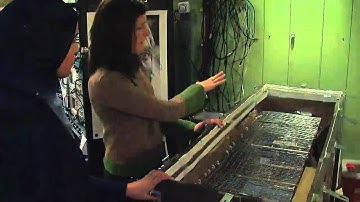 What Songbirds Can Teach Us About the Brain