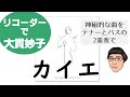 カイエ【リコーダーで大貫妙子】Kaie(Taeko Ohnuki)(recorder cover)