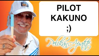2022 Pilot Kakuno Fountain Pen Unboxing and Review