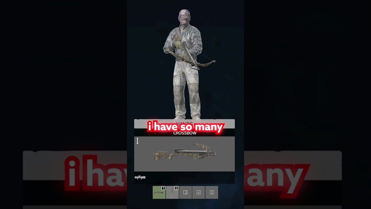 CROSSBOW RAMPAGE IN DAYZ 