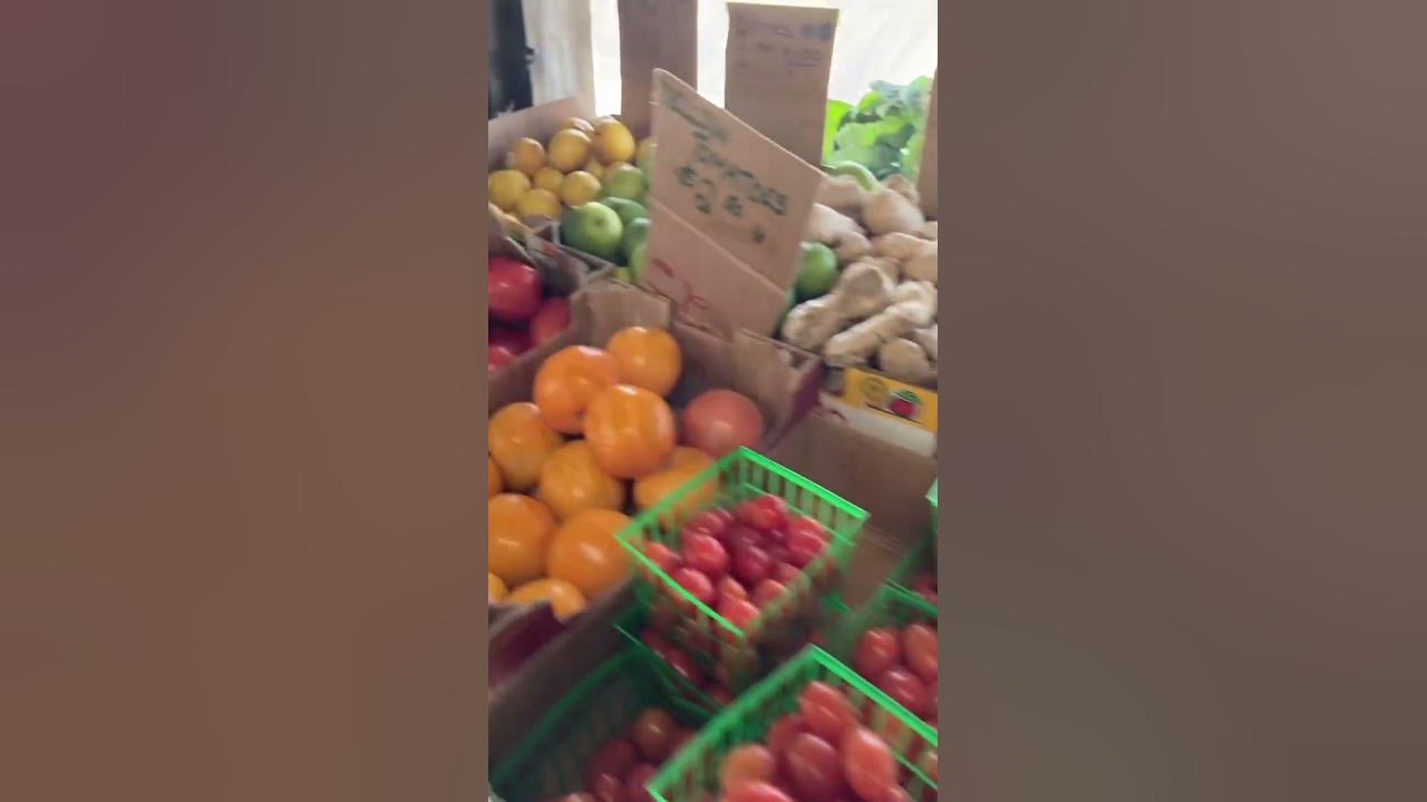 We love County Line Produce! Hastings, FL YouTube