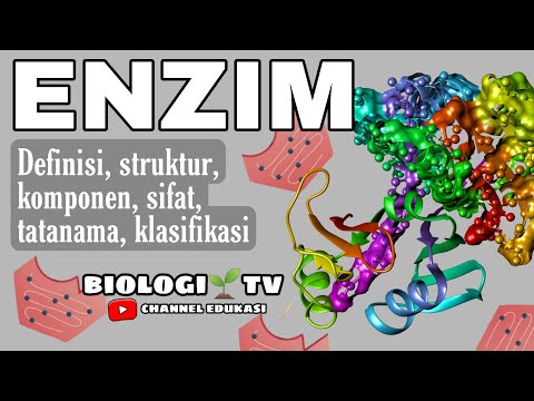 Video: Struktur sel apa yang mengandung enzim?