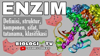 Biologi bab enzim lengkap : definisi-struktur-komponen-sifat-tatanama-klasifikasi