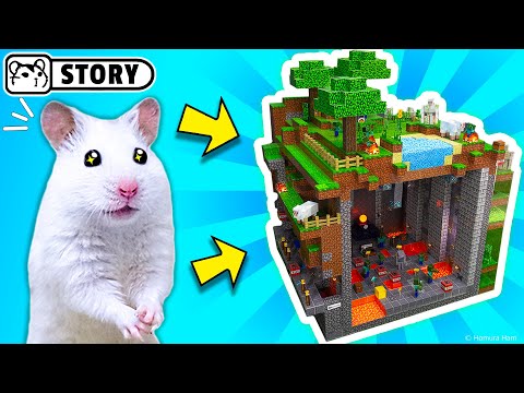 The world's largest hamster maze - obstacle course! #2 ? Homura Ham