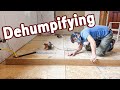 Getting Ready for the Hardwood Install | Home Renovation &amp; Addition Part 51