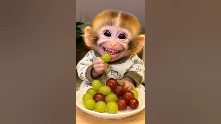Adorable Baby Monkey Loves Grapes | Cutest Snack Time Ever 🐒💚