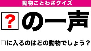 動物ことわざクイズ 全10問 小学校で習う簡単ことわざ穴埋めクイズ Youtube