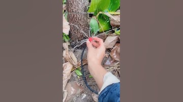 Que tưới 8 tia điều chỉnh được bán kính và lưu lượng phun