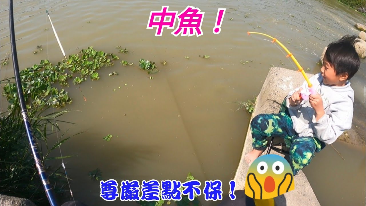 小短竿大奇蹟！兒子連拉好幾尾，我差點翻船…#釣魚神操作