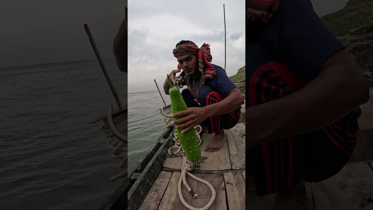 vegetable gourd bait for giant fish 