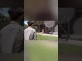 【彼女の浮気】彼氏がした行動に拍手 #shorts #マナル隊