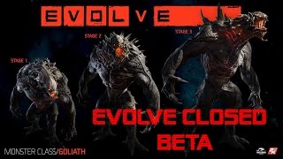 Evolve Closed Beta