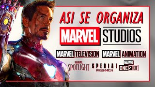 Marvel Studios: ¿Cómo se organiza? - Cine, TV, cortos, especiales y animación ✒️