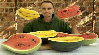 картинка: Оце так кавуни! Секрети вирощування кавунів та динь