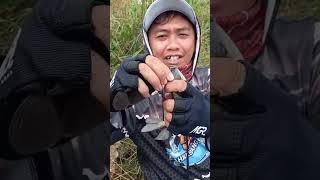 mancing mujairnila dilupak#shorts#mancingkalimantan #mancingmania#mancingmujair#nila