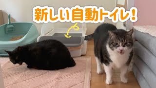 新しい自動トイレ、これなら使ってくれるかな?!