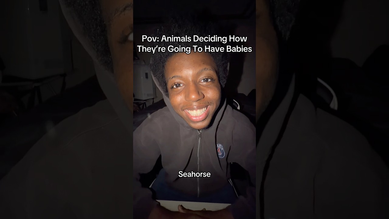 Animals Deciding How They’re Going To Have Babies!😭😹 #comedy #comedyshorts #funny #funnyshorts