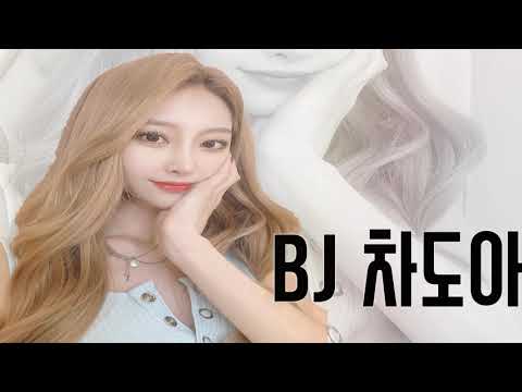 팬더티비  차도아대기영상