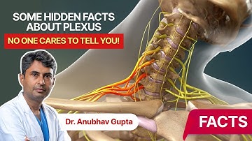 🩺 Latest Updates on Brachial Plexus Injuries | Dr. Anubhav Gupta