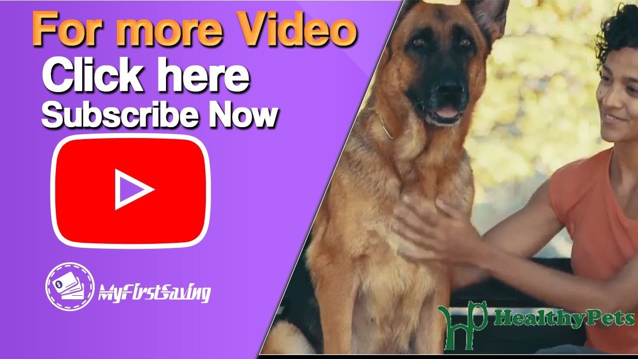 HealthyPets Coupon & Promo Code 2018 MFS (Saving Money Was Never This