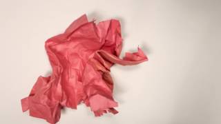 Visual Arts Stop Motion Animation
