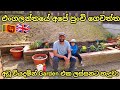 My Garden Tour | Uk Sinhala |Budget Garden Makeover| UK Life | Day In The Life| Meal Prep| Srilankan