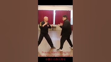"Dynamic Mastery: Unveiling Praying Mantis Kung Fu Xiao Fan Che Application 7! 🦗💫螳螂拳tanglong小翻车动作应用七