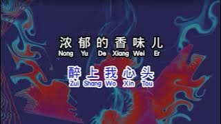 陆树铭 《 一壶老酒 》 yi hu lao jiu 2