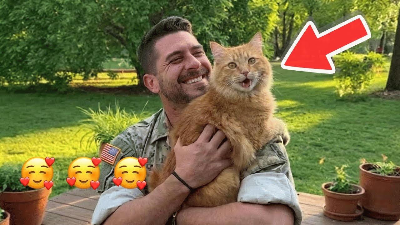 🥰🥰🥰After So Many Years Away, Soldier Dad Is Back — His Cat’s Reaction Is Priceless