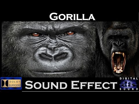 john roblox gorilla sound effect by CardioidStereoFuzz88017 - Tuna