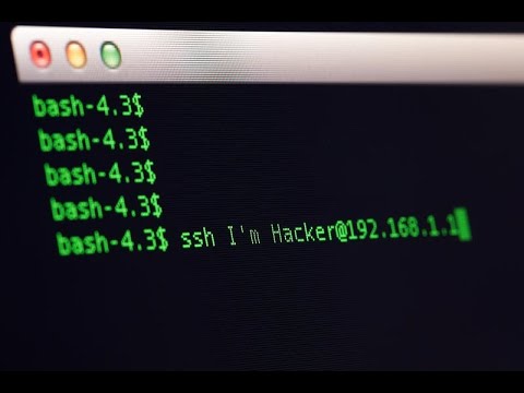 Best terminal hacking program - YouTube