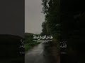 اللهم كن لإخواننا في فلسطين عونا و معينا اللهم كن لإخواننا في فلسطين عونا و معينا