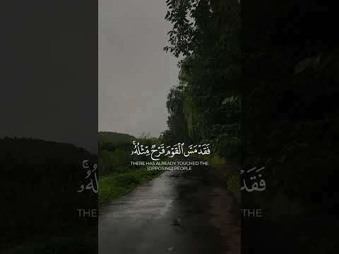 اللهم كن لإخواننا في فلسطين عونا و معينا
