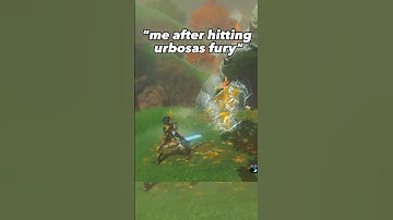 me after hitting urbosas fury #zeldabreathofthewild #zeldatearsofthekingdom